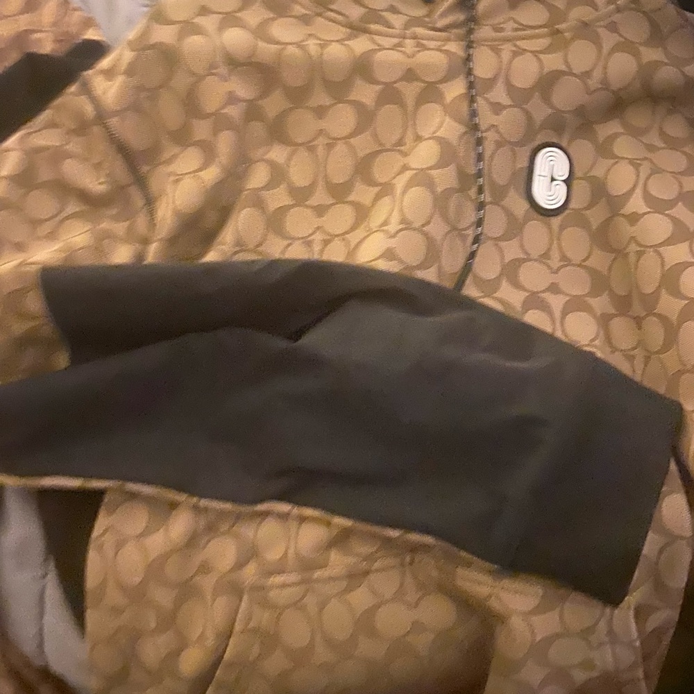 Coach Hoodie, Coach Polo, Jordan Flights, Jordan 10s, Puma, Coach Tennis Shoes - Picture 12 of 12